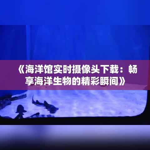 《海洋馆实时摄像头下载:畅享海洋生物的精彩瞬间》