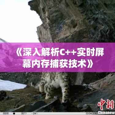 《深入解析C++实时屏幕内存捕获技术》