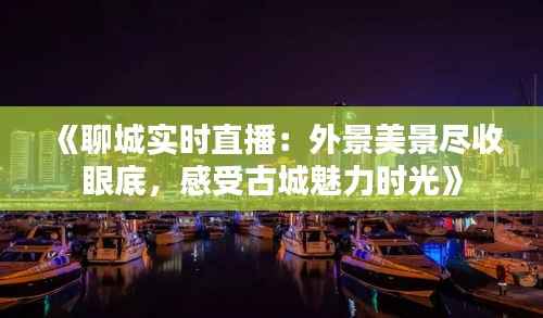 《聊城实时直播:外景美景尽收眼底,感受古城魅力时光》