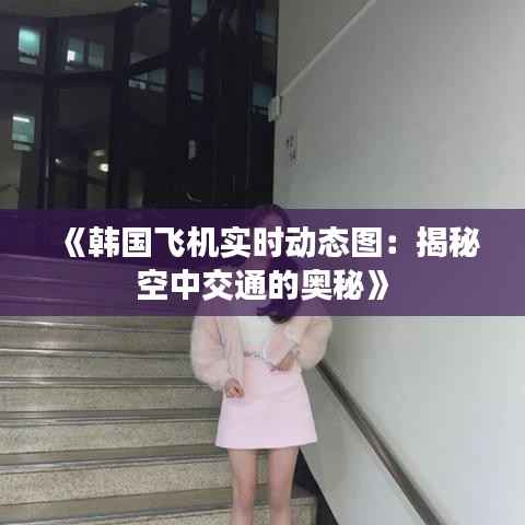 《韩国飞机实时动态图:揭秘空中交通的奥秘》
