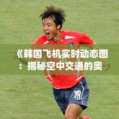 《韩国飞机实时动态图:揭秘空中交通的奥秘》