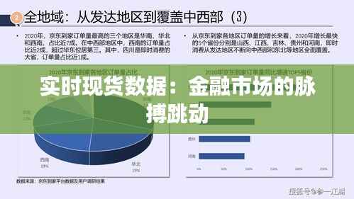 实时现货数据：金融市场的脉搏跳动
