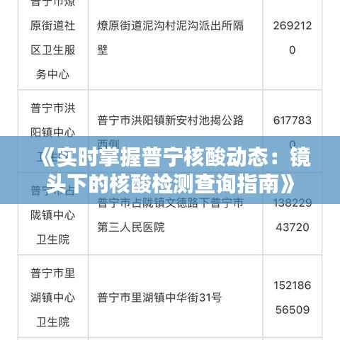 《实时掌握普宁核酸动态:镜头下的核酸检测查询指南》