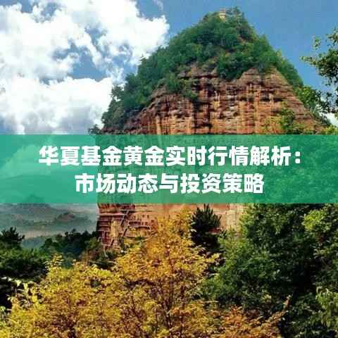 华夏基金黄金实时行情解析:市场动态与投资策略