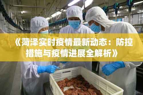 《菏泽实时疫情最新动态:防控措施与疫情进展全解析》