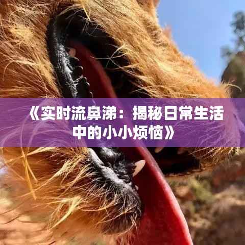 《实时流鼻涕:揭秘日常生活中的小小烦恼》