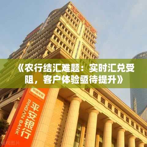《农行结汇难题:实时汇兑受阻,客户体验亟待提升》