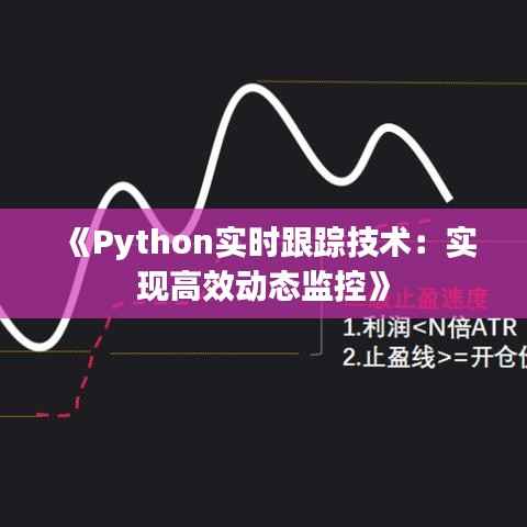 《Python实时跟踪技术:实现高效动态监控》
