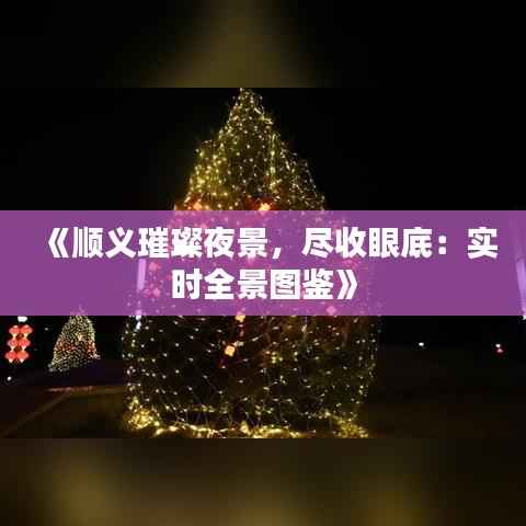 《顺义璀璨夜景，尽收眼底：实时全景图鉴》