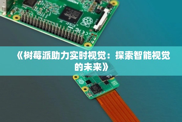 《树莓派助力实时视觉:探索智能视觉的未来》