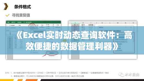 《Excel实时动态查询软件：高效便捷的数据管理利器》