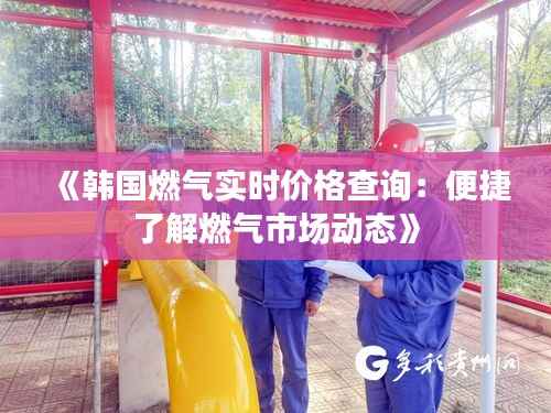 《韩国燃气实时价格查询:便捷了解燃气市场动态》