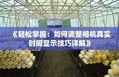 《轻松掌握:如何调整相机真实时间显示技巧详解》