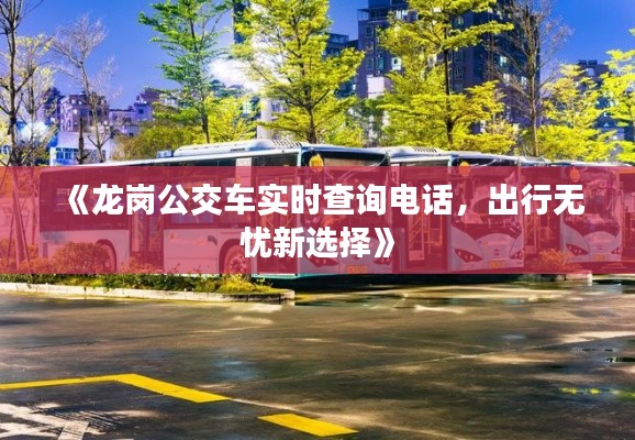 《龙岗公交车实时查询电话,出行无忧新选择》
