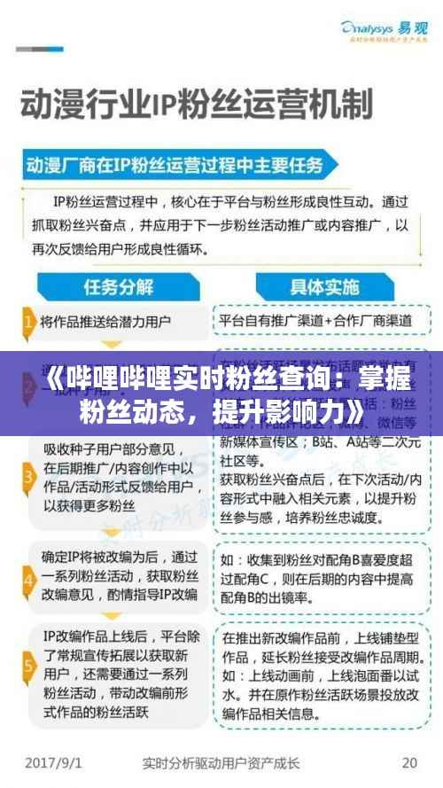 《哔哩哔哩实时粉丝查询:掌握粉丝动态,提升影响力》