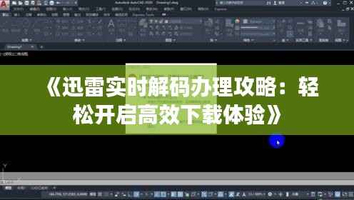 《迅雷实时解码办理攻略:轻松开启高效下载体验》