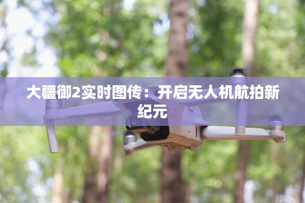 大疆御2实时图传:开启无人机航拍新纪元
