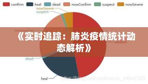 《实时追踪：肺炎疫情统计动态解析》