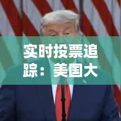 实时投票追踪:美国大选选票动态解析