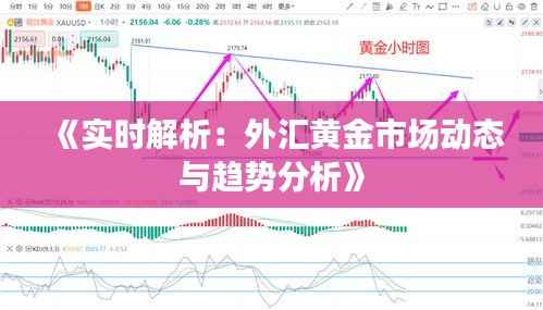 《实时解析：外汇黄金市场动态与趋势分析》