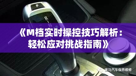 《M档实时操控技巧解析:轻松应对挑战指南》