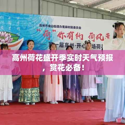 高州荷花盛开季实时天气预报,赏花必备!