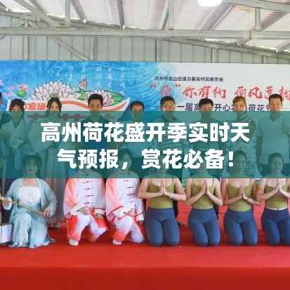 高州荷花盛开季实时天气预报,赏花必备!