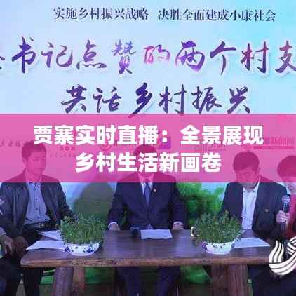 贾寨实时直播:全景展现乡村生活新画卷