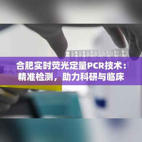 合肥实时荧光定量PCR技术:精准检测,助力科研与临床