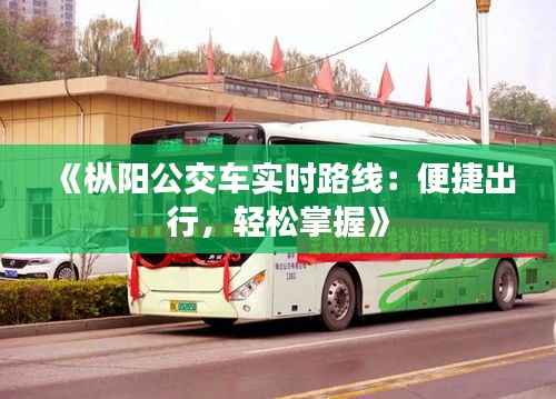 《枞阳公交车实时路线：便捷出行，轻松掌握》