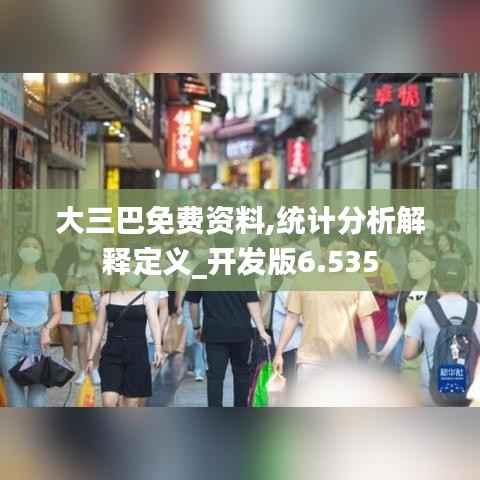大三巴免费资料,统计分析解释定义_开发版6.535