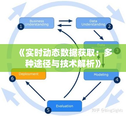 《实时动态数据获取:多种途径与技术解析》