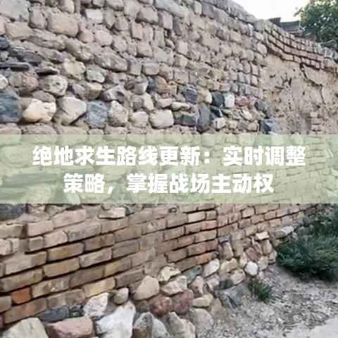绝地求生路线更新:实时调整策略,掌握战场主动权