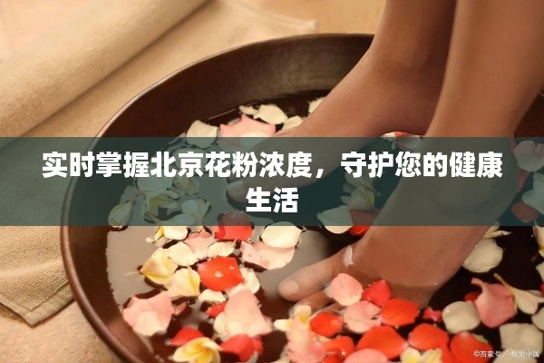 实时掌握北京花粉浓度,守护您的健康生活