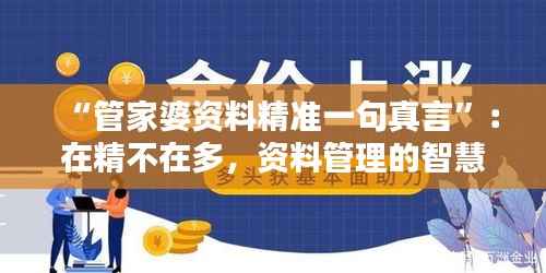 “管家婆资料精准一句真言”:在精不在多,资料管理的智慧之道