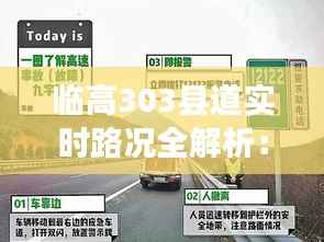 临高303县道实时路况全解析:畅行无忧指南