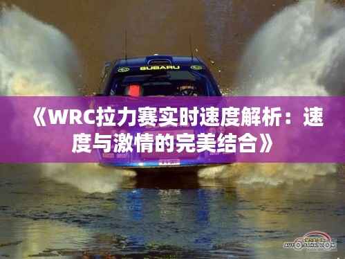 《WRC拉力赛实时速度解析:速度与激情的完美结合》