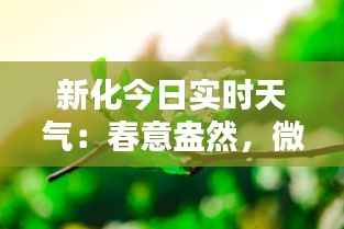 新化今日实时天气:春意盎然,微风拂面