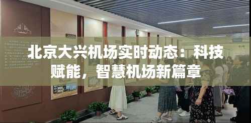 北京大兴机场实时动态:科技赋能,智慧机场新篇章