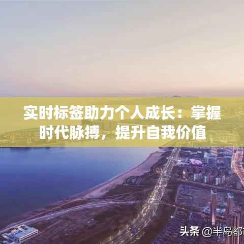 实时标签助力个人成长：掌握时代脉搏，提升自我价值