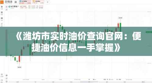 《潍坊市实时油价查询官网：便捷油价信息一手掌握》