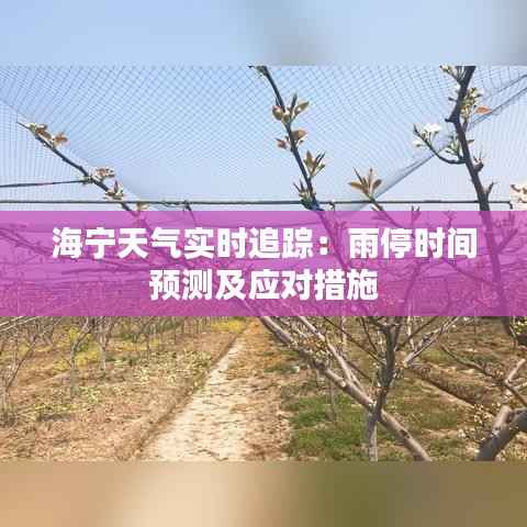 海宁天气实时追踪：雨停时间预测及应对措施