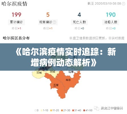 《哈尔滨疫情实时追踪:新增病例动态解析》