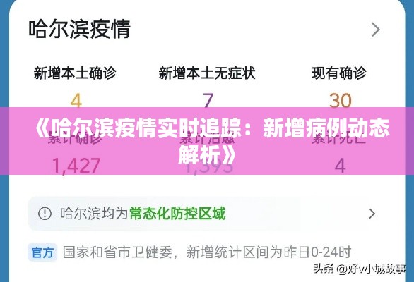 《哈尔滨疫情实时追踪:新增病例动态解析》