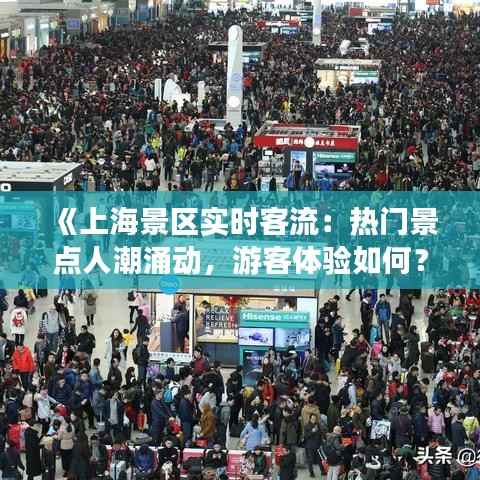 《上海景区实时客流:热门景点人潮涌动,游客体验如何?》