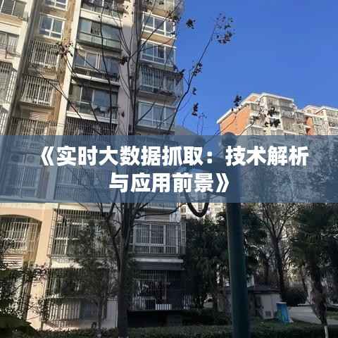 《实时大数据抓取:技术解析与应用前景》