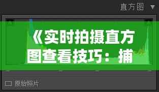 《实时拍摄直方图查看技巧：捕捉光影之美》