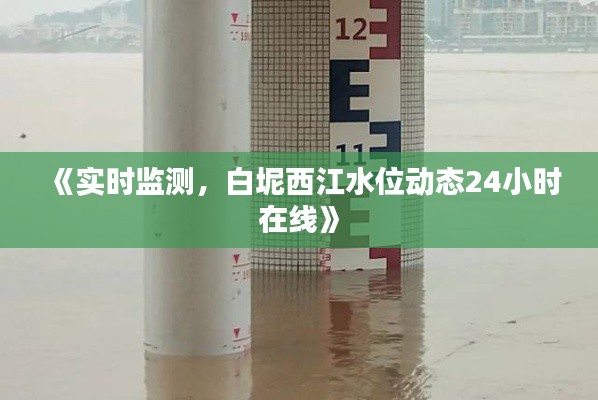 《实时监测,白坭西江水位动态24小时在线》
