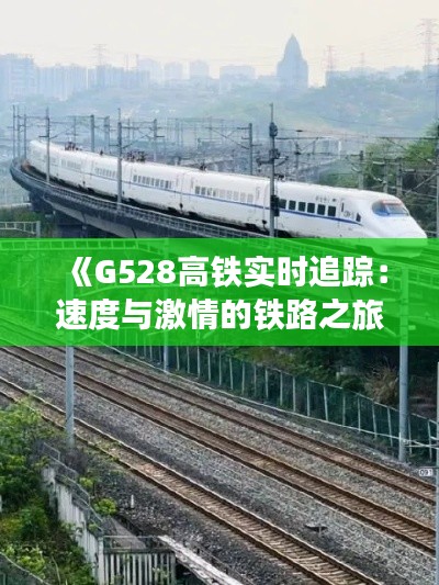 《G528高铁实时追踪:速度与激情的铁路之旅》