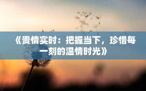 《贵情实时:把握当下,珍惜每一刻的温情时光》
